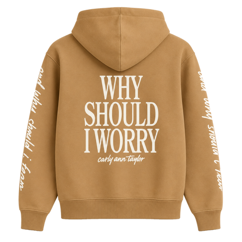 Why Should I Worry Hoodie